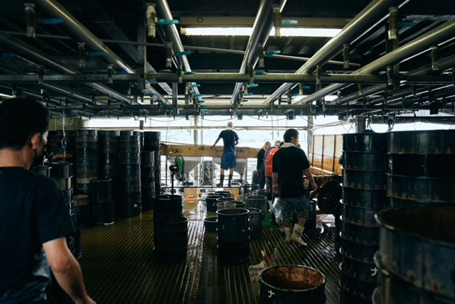【うなぎ量深】10/3〜宮崎県中村養鰻場の「鰻」で蒲焼きご提供いたします。